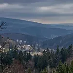 Lyzarska B4 - Protez