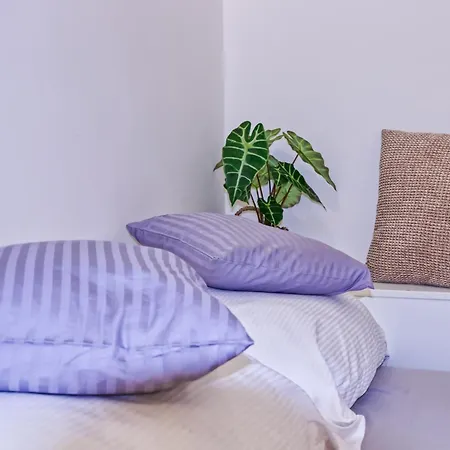 Pod Protezi Lejlighed Janské Lázně