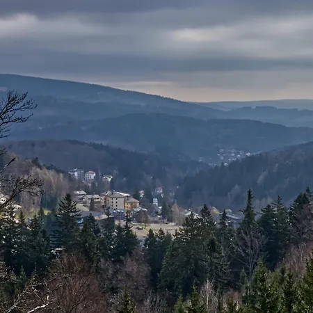 Lyzarska B4 - Protez